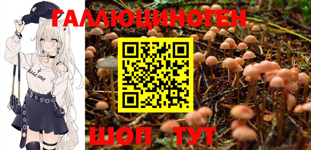 Галлюциногенные грибы MAGIC MUSHROOMS  Псилоцибиновые грибы мицелий  Рузаевка  Вход с VPN 