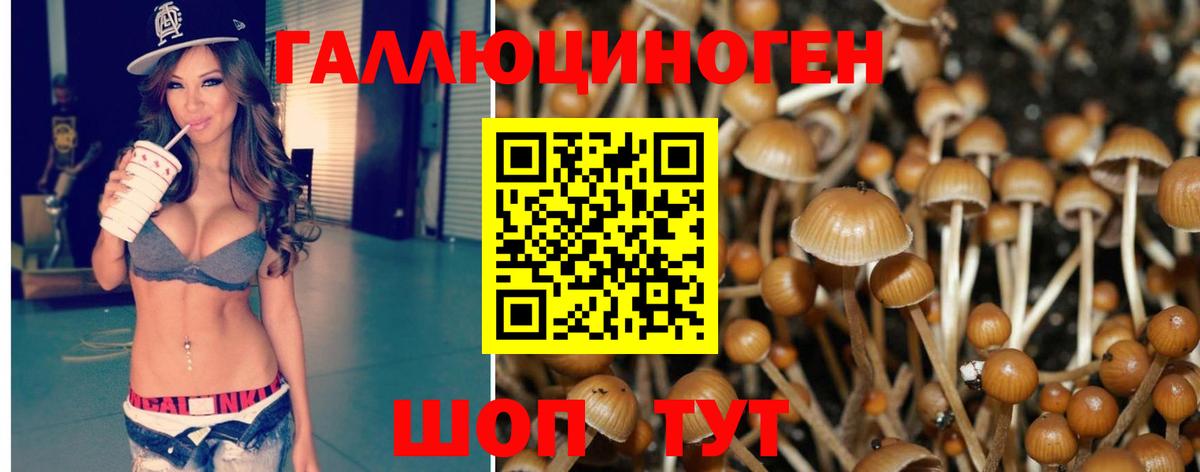 Псилоцибиновые грибы MAGIC MUSHROOMS Рузаевка